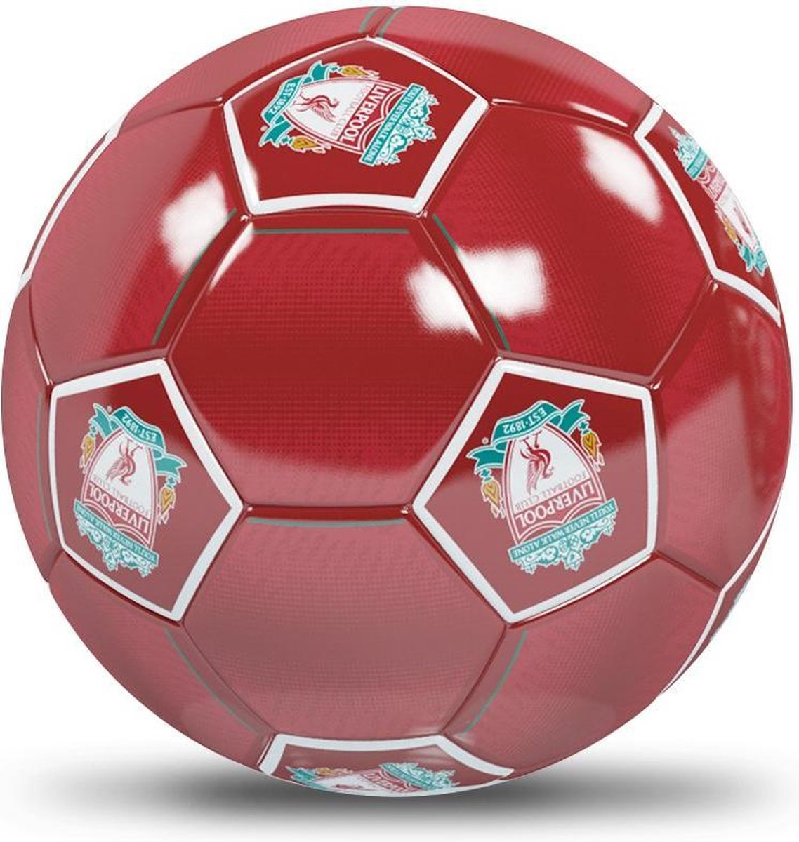 FC Liverpool futbalová lopta Folders