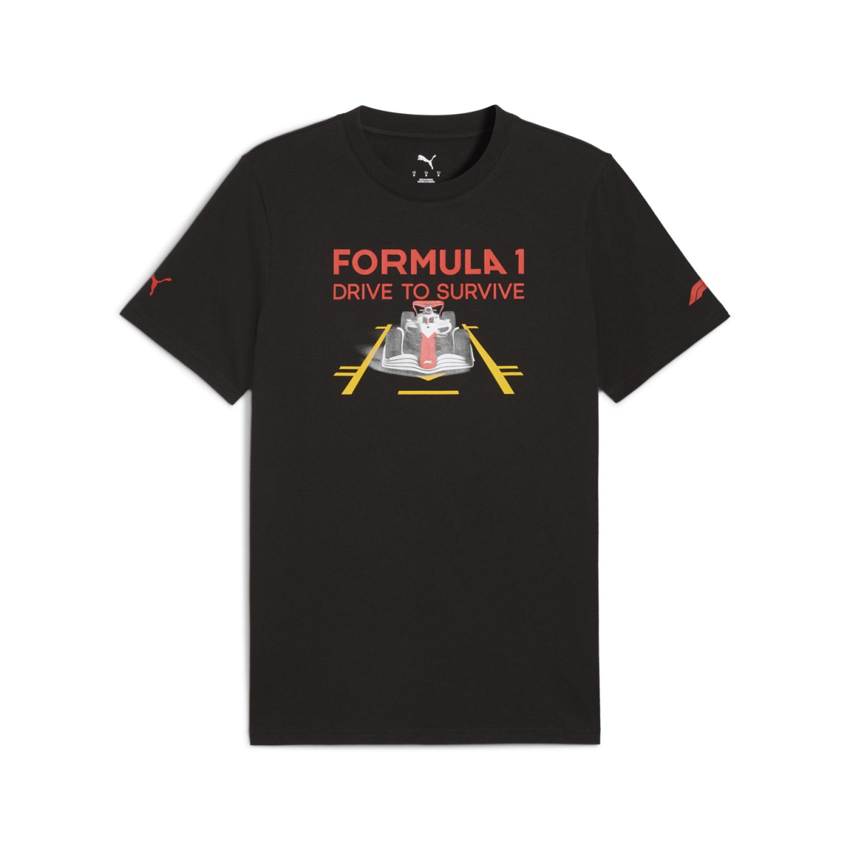 Formule 1 pánske tričko DTS Graphic black F1 Team 2025