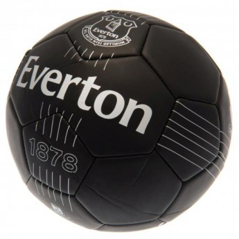 FC Everton futbalová lopta Skill Ball RT - size 5