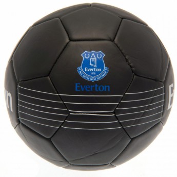 FC Everton futbalová lopta Skill Ball RT - size 5