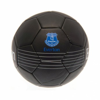 FC Everton fotbalová mini lopta Skill Ball RT - size 1