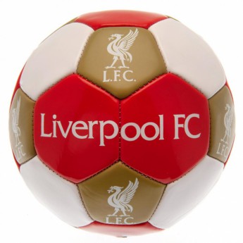 FC Liverpool futbalový set water bottle - hand pump - size 3 ball