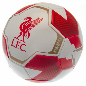 FC Liverpool futbalová lopta RW - size 5