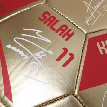 FC Liverpool futbalová lopta Premier League Champions Gold Signature Football - Size 5