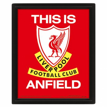 FC Liverpool obrázok v rámčeku 3D Picture