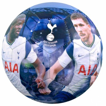 Tottenham futbalová lopta players photo football