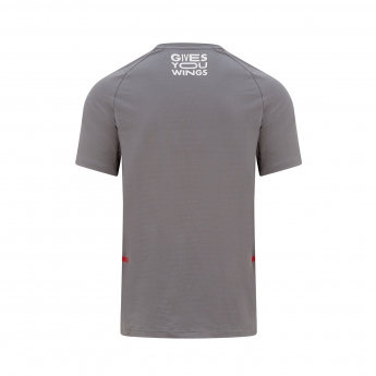 Red Bull Racing pánske tričko Tech grey T-shirt F1 Team 2022