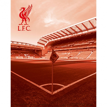 FC Liverpool 3D obrázok 3D Print