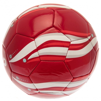 Futbalová reprezentácia futbalová lopta 2022 Phoenix Football size 5