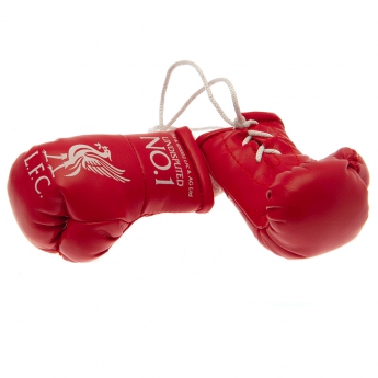 FC Liverpool mini boxerské rukavice Mini Boxing Gloves RD