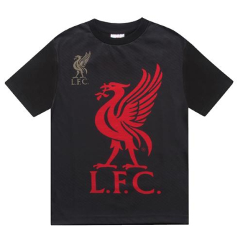 FC Liverpool detské pyžamo SLab short colour 6