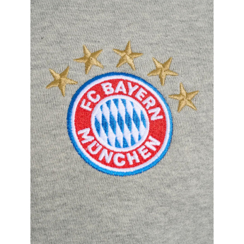 Bayern Mníchov pánska mikina 5 stars zip grey
