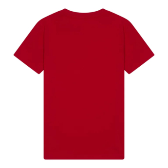 Paris Saint Germain detské tričko Big Logo red