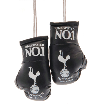 Tottenham mini boxerské rukavice No.1 text