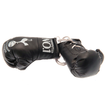 Tottenham mini boxerské rukavice No.1 text