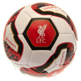 FC Liverpool futbalová lopta Football TR - Size 5