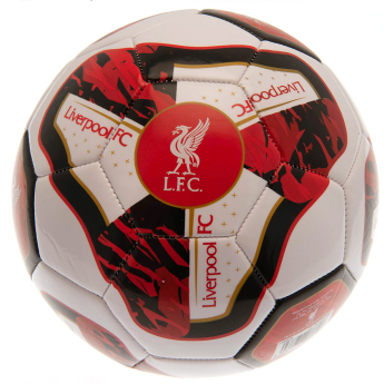 FC Liverpool futbalová lopta Football TR - Size 5