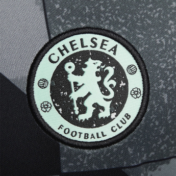 FC Chelsea futbalový dres Pre-Match grey