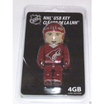 Arizona Coyotes USB flash disk 4GB