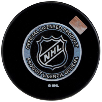 Detroit Red Wings puk 1998 Stanley Cup Champions