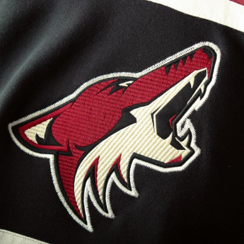Arizona Coyotes detská mikina s kapucňou Asset Lace-Up Pullover Hoodie