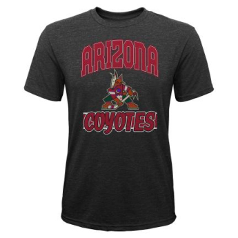 Arizona Coyotes detské tričko All Time Great Triblend black