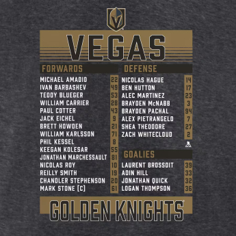 Vegas Golden Knights pánske tričko 2023 Stanley Cup Champions Roster Heather Charcoal