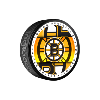 Boston Bruins puk Medallion Souvenir Collector Hockey Puck