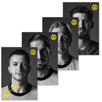 Borussia Dortmund karty hráčov 33 cards with autographs 2023/24