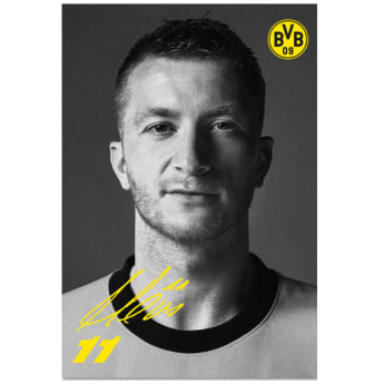 Borussia Dortmund karty hráčov 33 cards with autographs 2023/24