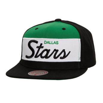 Dallas Stars čiapka flat šiltovka Retro Sport Snapback Vintage