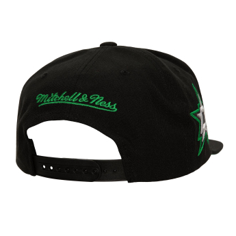 Dallas Stars čiapka flat šiltovka Retro Sport Snapback Vintage