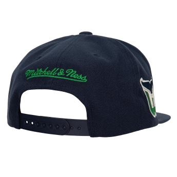 Hartford Whalers čiapka flat šiltovka Retro Sport Snapback Vintage