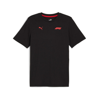 Formule 1 pánske tričko Small Logo black 2024