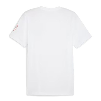 Futbalová reprezentácia pánske tričko Czech republic Ftblicons Tee white