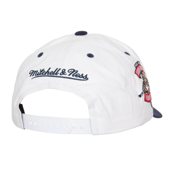 Florida Panthers čiapka baseballová šiltovka Tail Sweep Pro Snapback Vintage