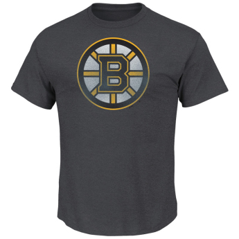 Boston Bruins pánske tričko Pigment Dyed grey