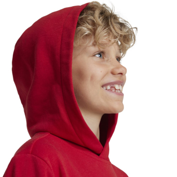 Bayern Mníchov detská mikina s kapucňou Hoody red