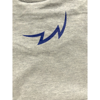 Hokejové reprezentácie dámske tričko grey Czech Ice Hockey logo lion