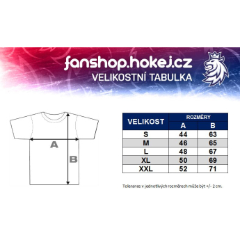 Hokejové reprezentácie dámske tričko grey Czech Ice Hockey logo lion