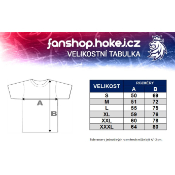 Hokejové reprezentácie pánske tričko grey Czech Ice Hockey logo EST 1908