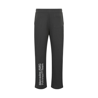 Mercedes AMG Petronas pánske nohavice Relaxed Fit grey F1 Team 2024