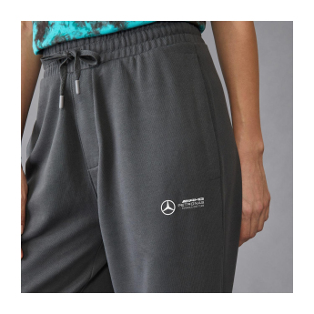 Mercedes AMG Petronas pánske nohavice Relaxed Fit grey F1 Team 2024