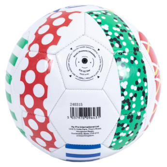 EURO 2024 futbalová lopta Patterned size - 5