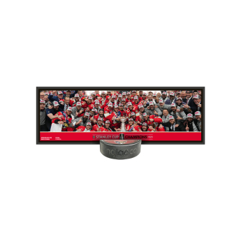 Florida Panthers zberateľská plaketa 2024 Stanley Cup Champions Deco Plaque