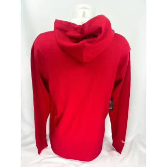 Detroit Red Wings pánska mikina s kapucňou Thermal Lightweight Hoodie Current Logo