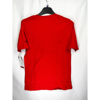 Chicago Blackhawks detské tričko Apro Wordmark Ss Ctn Tee red