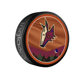 Arizona Coyotes puk reverse retro jersey souvenir collector hockey puck