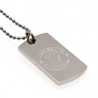 FC Chelsea retiazka na krk s psou známkou DT engraved