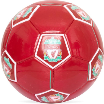 FC Liverpool futbalová lopta Folders